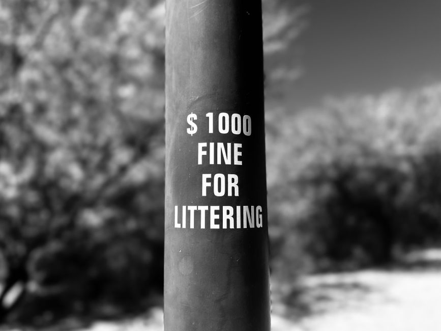 Close-up of a dark cylindrical metal pole with a white printed sign stating '$1000 FINE FOR LITTERING', positioned outdoors against a blurry background of trees and foliage. The sign emphasizes the pe
